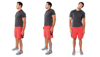 Shoulder Shrugs