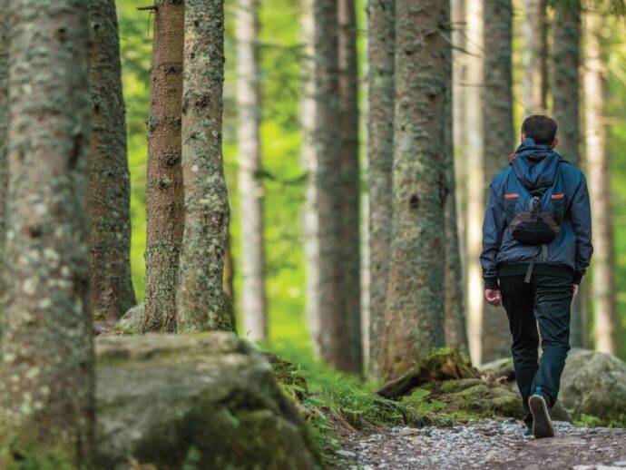 What Neuroplasticity Means for Aging