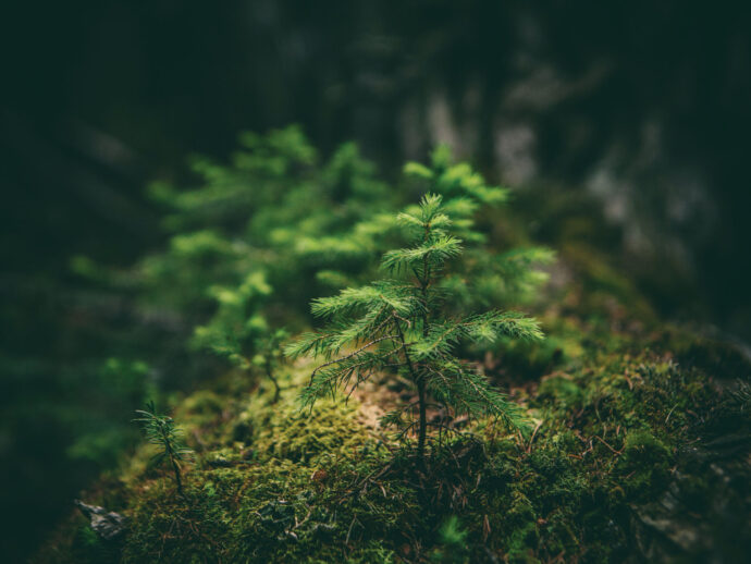 Clothing For People and the Planet