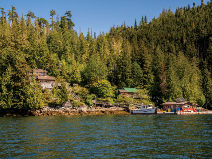 Fighting For Wild Salmon