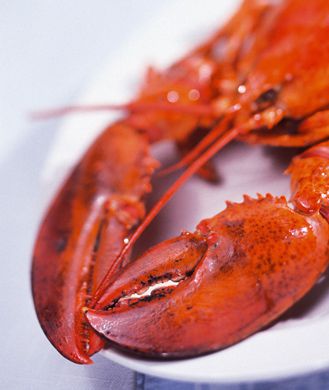 four-foods-that-arent_0.jpg