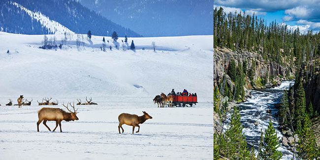 jackson-hole-adventures.jpg